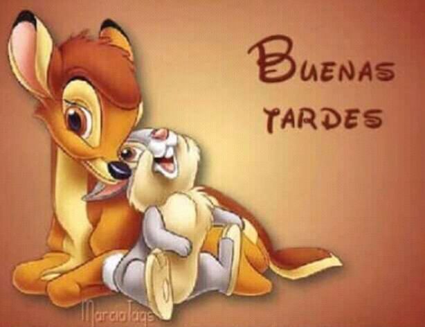 eunicem63779124's tweet photo. #BonitaTarde a todas mis bellas d #FansEnamoradaARG y a todo el #MundoLevy... @willylevy29 @fatima_moyano @veronicamazzar7 .... ♥♥♥ https://t.co/jMG6gDBtry