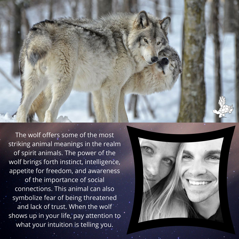 ARFONmovie's tweet image. Trust your intuition, @nickloritsch.
Thanks for your contribution! Join Nick: seedandspark.com/fund/a-room-fu…