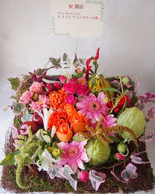 Kanoche 開店のお祝いにお花をお届けしました 開店 カノシェ ケイトウ 花の贈り物 花屋 フラワーギフト スタンド花 スタンドフラワー フラスタ フラワーアレンジメント 花束 胡蝶蘭 フローリストカノシェ いいねした人全員フォローする Kanoche 開店のお祝いにお花をお届けしました 開店 カノシェ ケイトウ 花の贈り物 花屋 フラワーギフト スタンド花 スタンドフラワー フラスタ フラワーアレンジメント 花束 胡蝶蘭 フローリストカノシェ いいねした人全員フォローする
