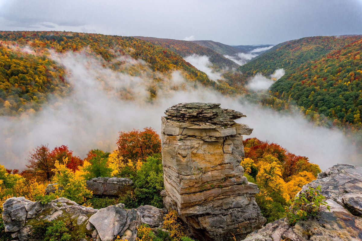 TuckerCounty_WV's tweet photo. Lindy Point is the gift that keeps on giving.  Blackwater Falls State Park @wvdnr @GoToWV #gettuckered #fall #almostheaven https://t.co/78YdZ5Dooe