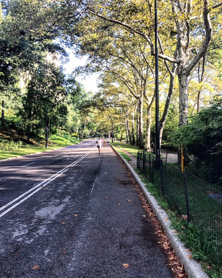 #Fall is officially in the air. 🍃🍂🍁Book your fall stay today at #NightHotels &amp; enjoy 15% off: goo.gl/fi7RgB #NYC