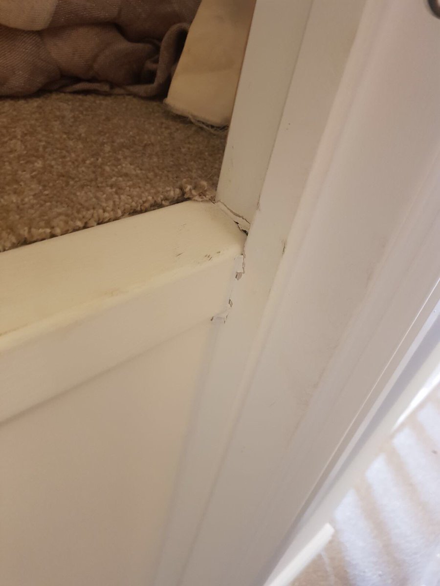 yvonne01yvonne's tweet photo. @RedrowHomes my son &amp; family bought new house @ college park, bideford, nothing but bad workmanship.  After 6 months, moved out for 4 weeks for remedial works &amp; still a shambles - sort it out redrow !!! https://t.co/nYTAV5RF6e