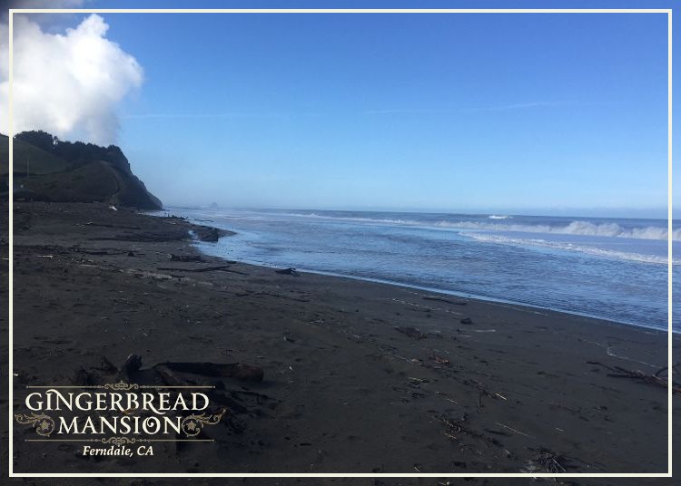 Gingerbreadbnb's tweet image. A beautiful morning in Ferndale and down by the water. Fall is a spectacular time to visit the area! #bedandbreakfast #fall #autumn #visit