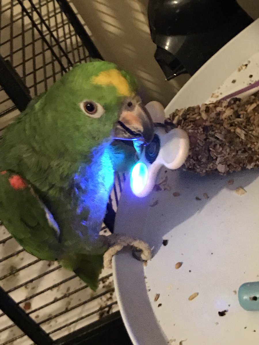 TuckerRingneck's tweet photo. Look at my cool fidget spinner!! https://t.co/lMQqKevHvG