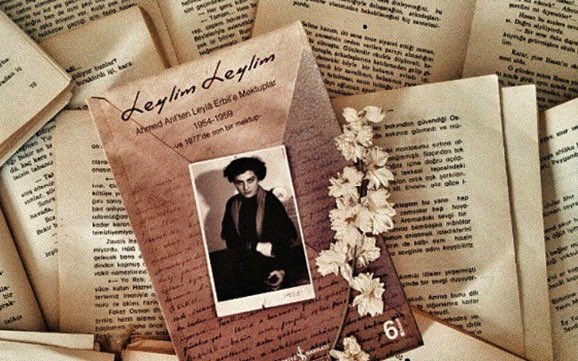 Evrende seni özler, seni isterim. Başkaca hiç
Ne taktığım, ne de vurulacağım bir nen yok
Seni 
Sade seni

Ahmed Arif