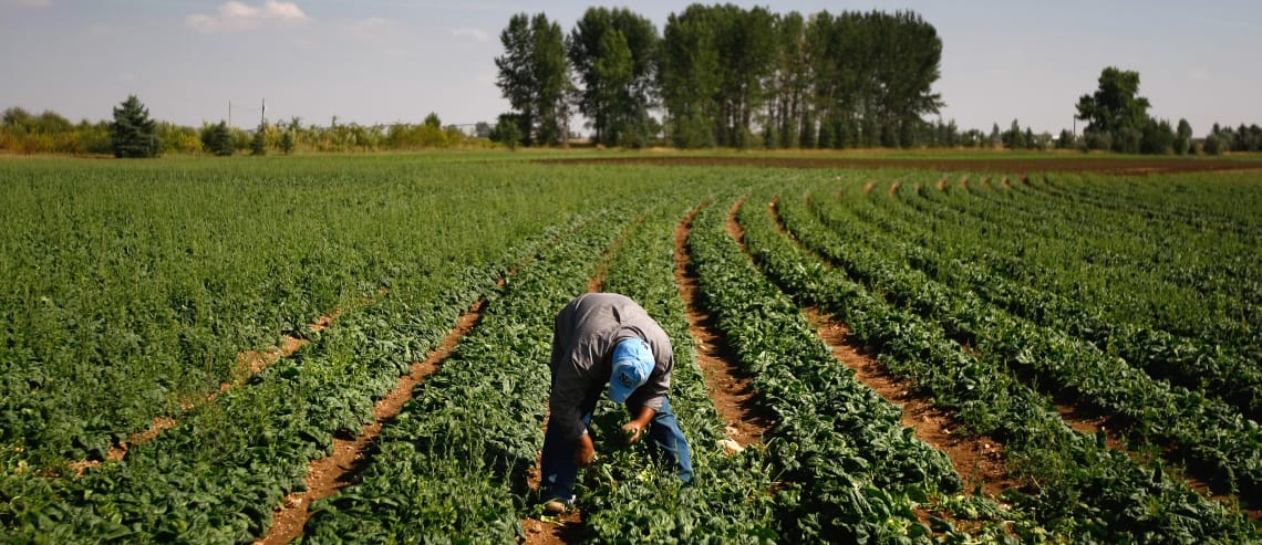 MBIE released the employers who failed to meet employment standards for migrants. Not meeting these is unacceptable.
bit.ly/2z8uRRC