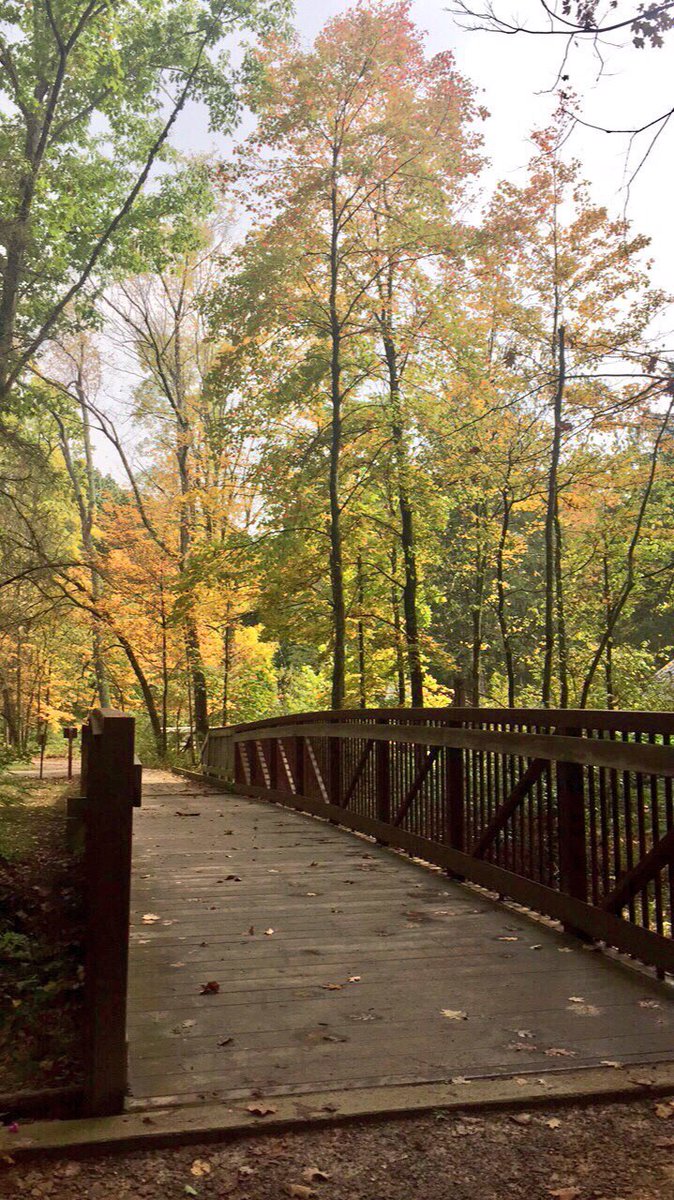 KateHarrisH2O's tweet photo. Beautiful fall day for fieldwork! 🍂🍃🍁 https://t.co/CaAtmNoaqu