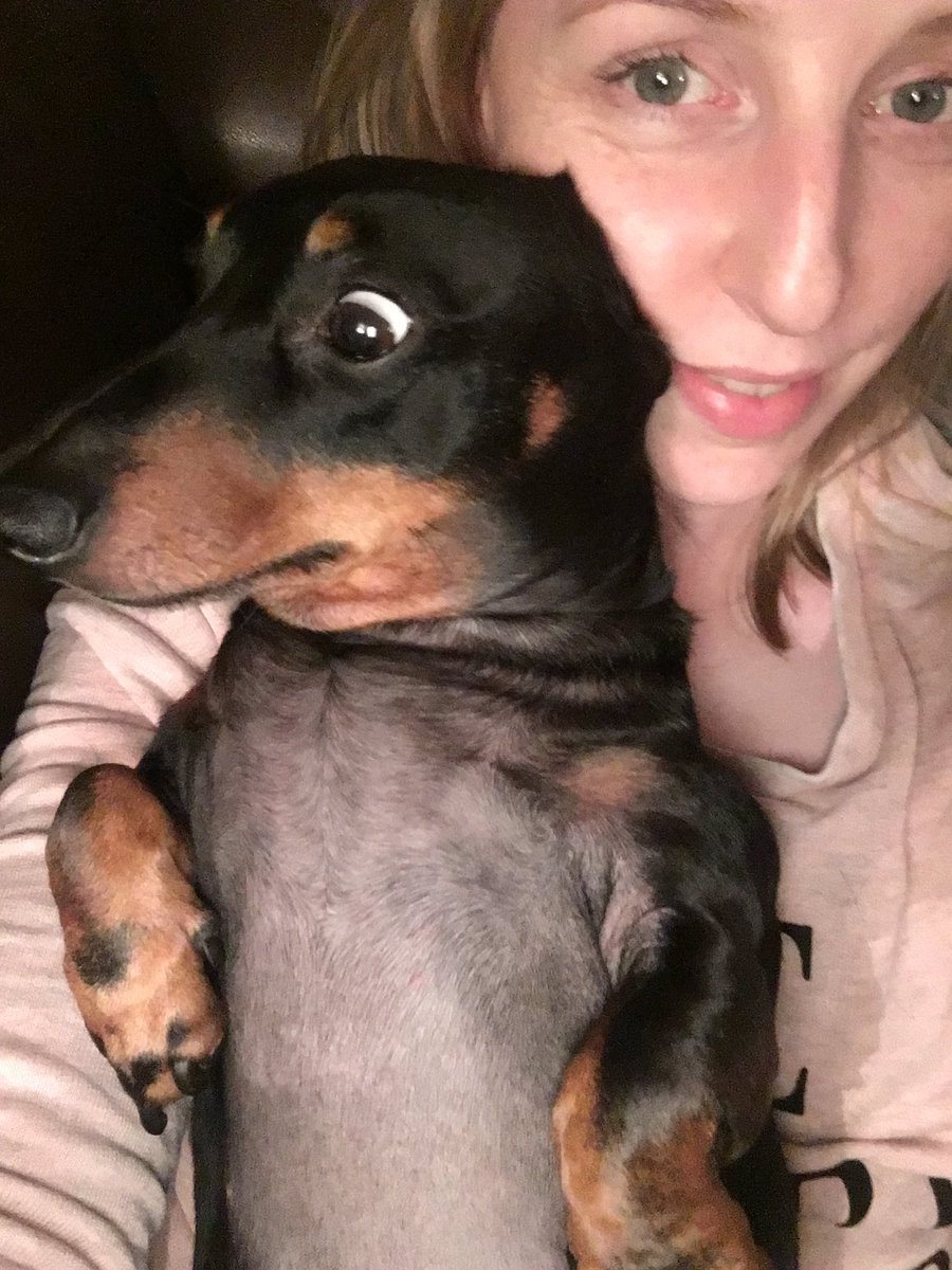 MiloTheDachsund's tweet photo. When you're snuggling on d couch with Mum & Dad opens a packet in the kitchen๐๐ท#EvilEye #SharesiesPlease #TreatsForMilo #WhatchaEating #Mine https://t.co/0moUZRMuTP
