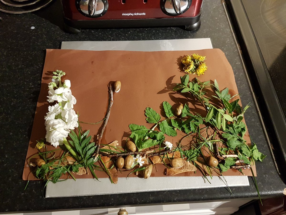 Juliegoolie1977's tweet photo. Putting up Logan's natural earth homework as I'm sure his mini forest and blossom tree will probably be completely dead in the morning https://t.co/7BiUfAosf8