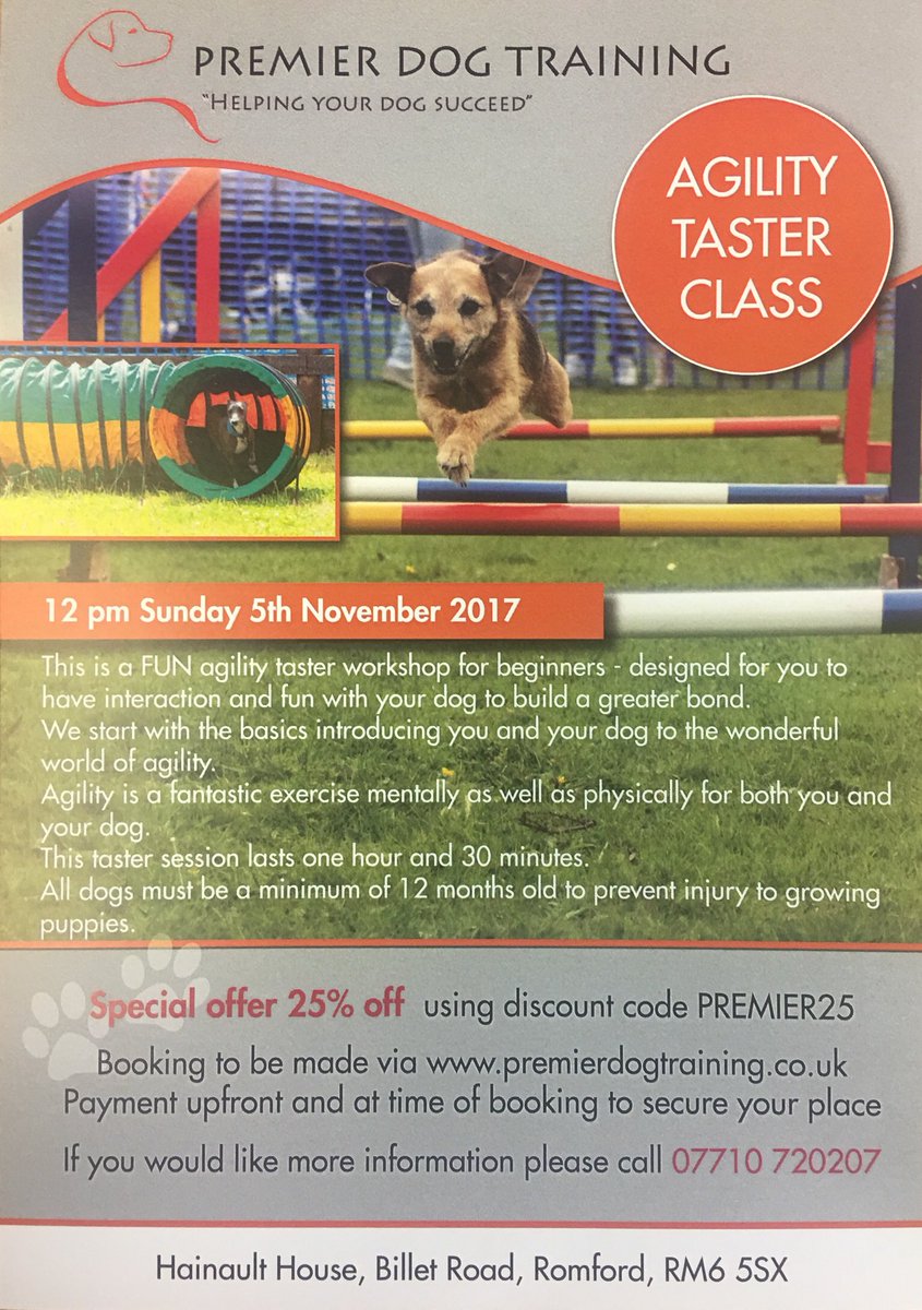 Premier Dog Training (PremierDog_lbbd) Twitter