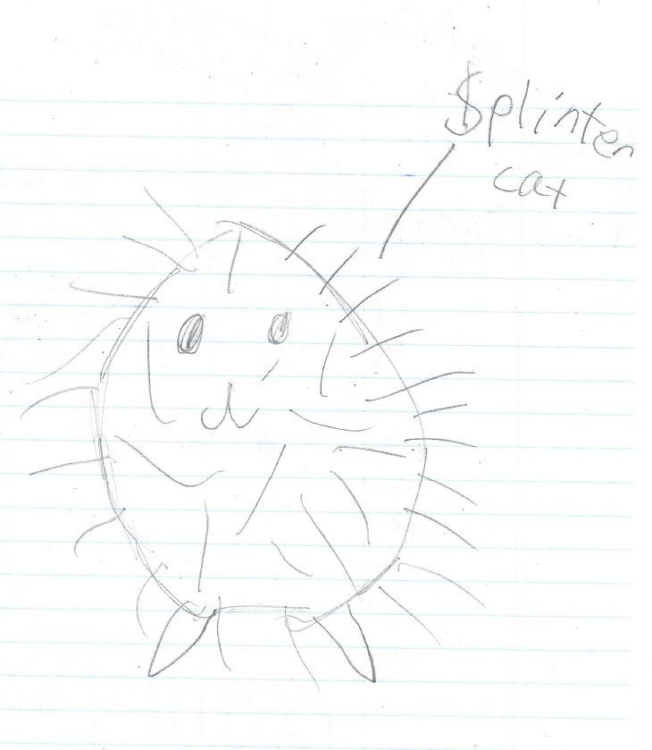 JasonWalkerDFS's tweet photo. For my children: Since they don't have Twitter -- I am submitting my kid's entry for the #NextBattleCat (my youngest child here) https://t.co/j36JzzNGst