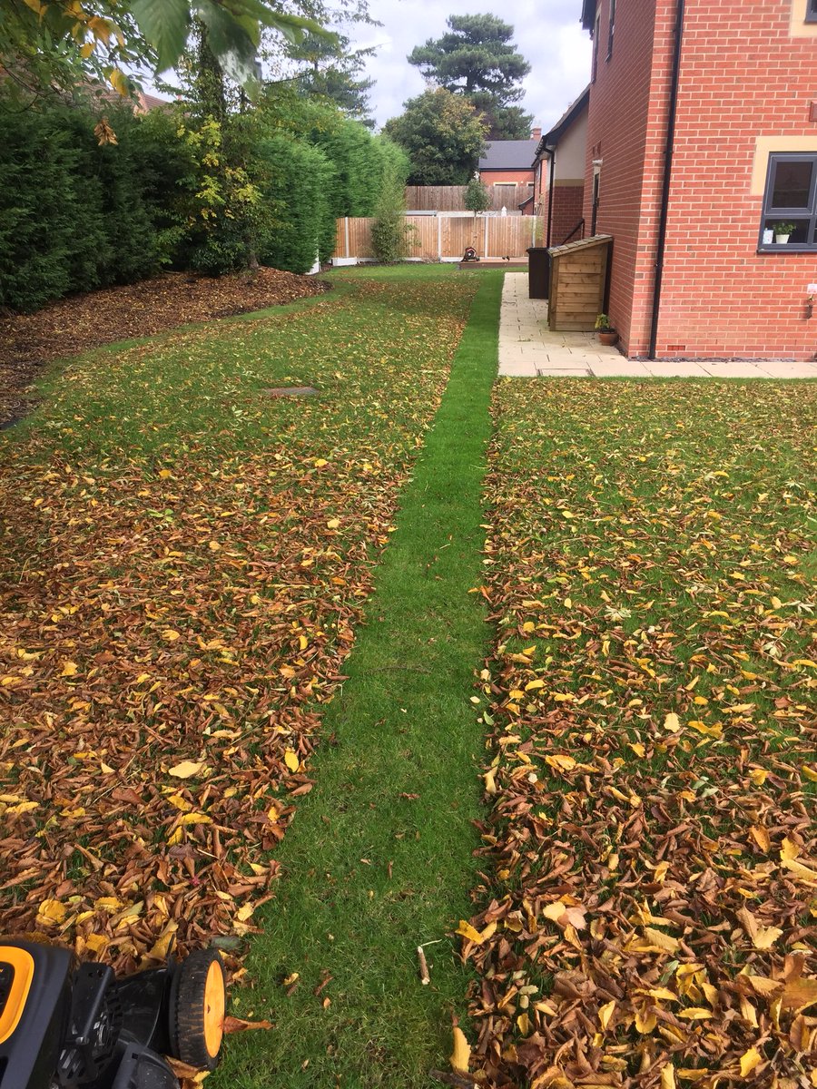 Leaf collection while cutting the lawn. #autumnalcolour #gardening