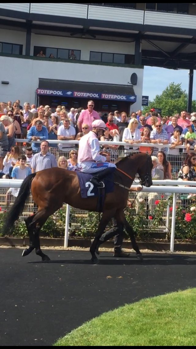 jennygodwin72's tweet photo. @mitch_godwin win 50 "Bounty Pursuit " Horse Racing Charity @kemptonparkrace 
@racing_cause @blake_racing @stpetershospice @DorothyHouseHC https://t.co/gf3IeZ3etf