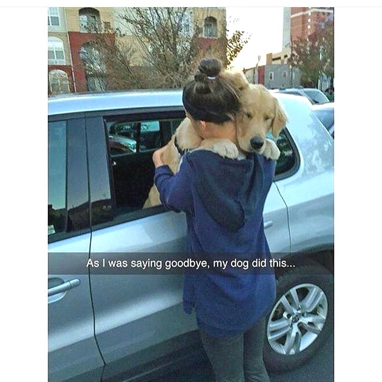 KashRockit tweet media