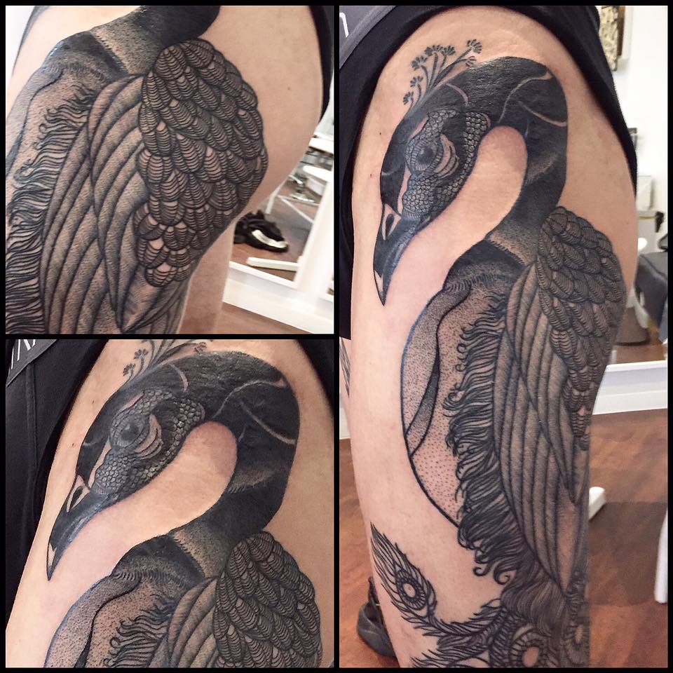 Some more progress shots of this beautiful blackwork peacock on the amazing Alex! #tattoo #uktattoo #essextattoo #prideandglory #blackwork