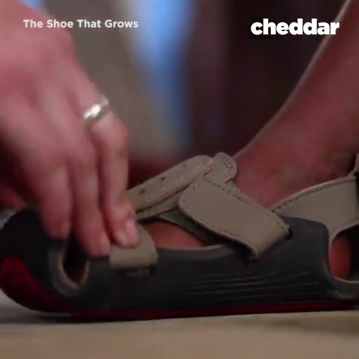 cheddar shoe covers