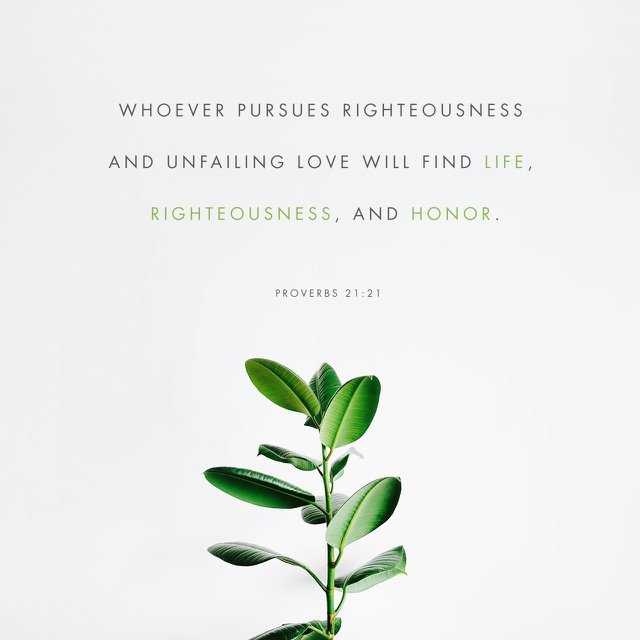 Heart2Heart03's tweet photo. He who follows righteousness and mercy Finds life, righteousness, and honor.
Proverbs 21:21 NKJV
https://t.co/WmO0SkRFnz https://t.co/QHraAWhVcq