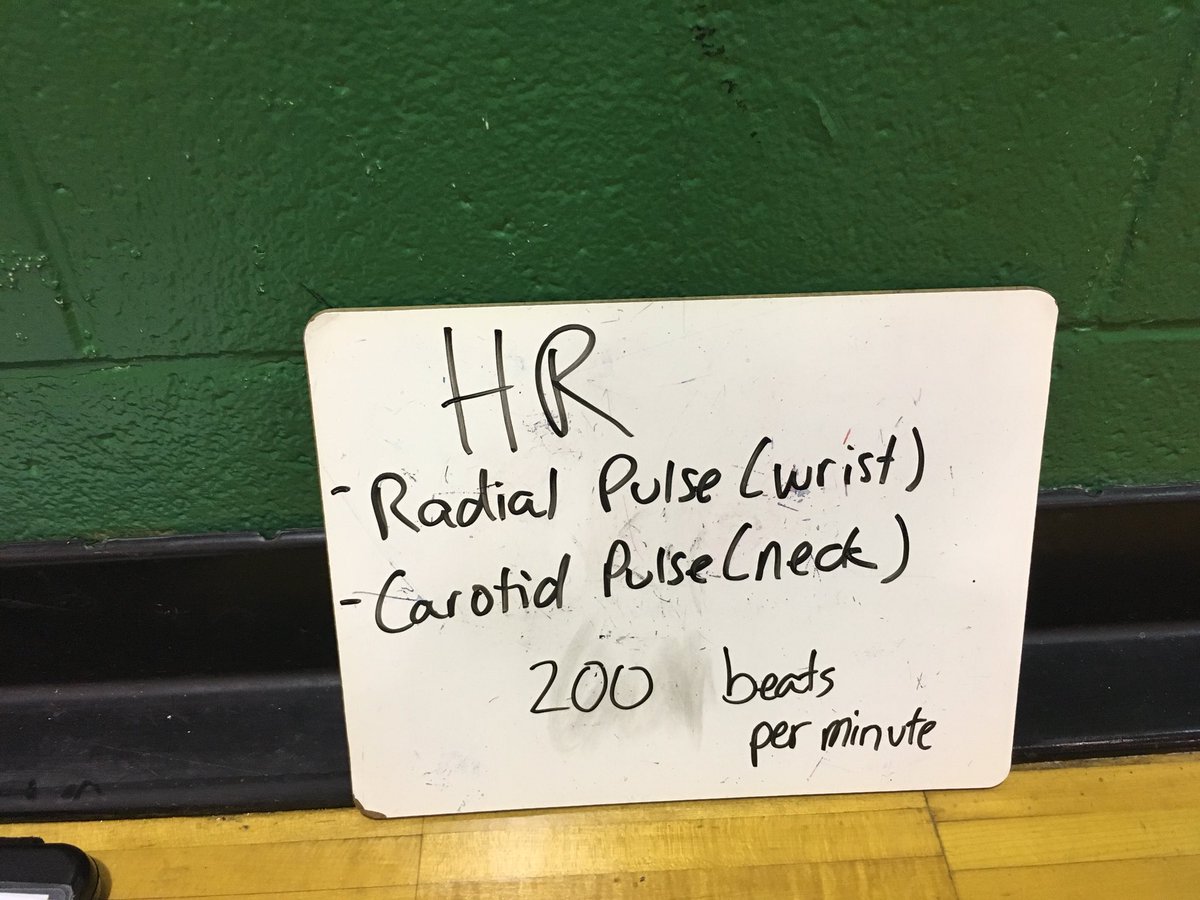 MHatcher_PE's tweet photo. We’re working on Fitness Concepts this week! #mdphysed #pemovesmd https://t.co/N0sFsDvKvI