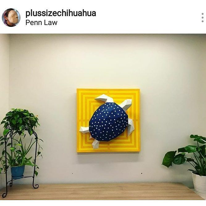 residentdesign's tweet photo. Check out this stunning Donna the Turtle with a custom background from @plussizechihuahua
.
.
.
.
.
#papercrafts #paperturtle #turtle #seat… https://t.co/R4LpVVhWRw