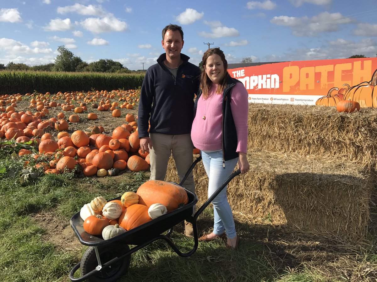 FoxesProduce's tweet photo. 🎃 PICK YOUR OWN PUMPKINS 🎃 

🎃 Please make sure you come soon for the best patch experience 
🎃Colchester CO6 3PR
🎃Basildon SS15 4ER https://t.co/Fxbbz8U6CX
