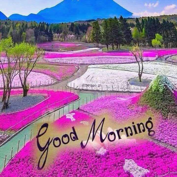 Monu06350245's tweet photo. चलते चलते
एक गुफ्तगू
सबसे
कोई दिल दुःखा हो
मेरी वजह से
तो अपना समज माफ़ कर देना....💕 https://t.co/YfoEsqrZJJ