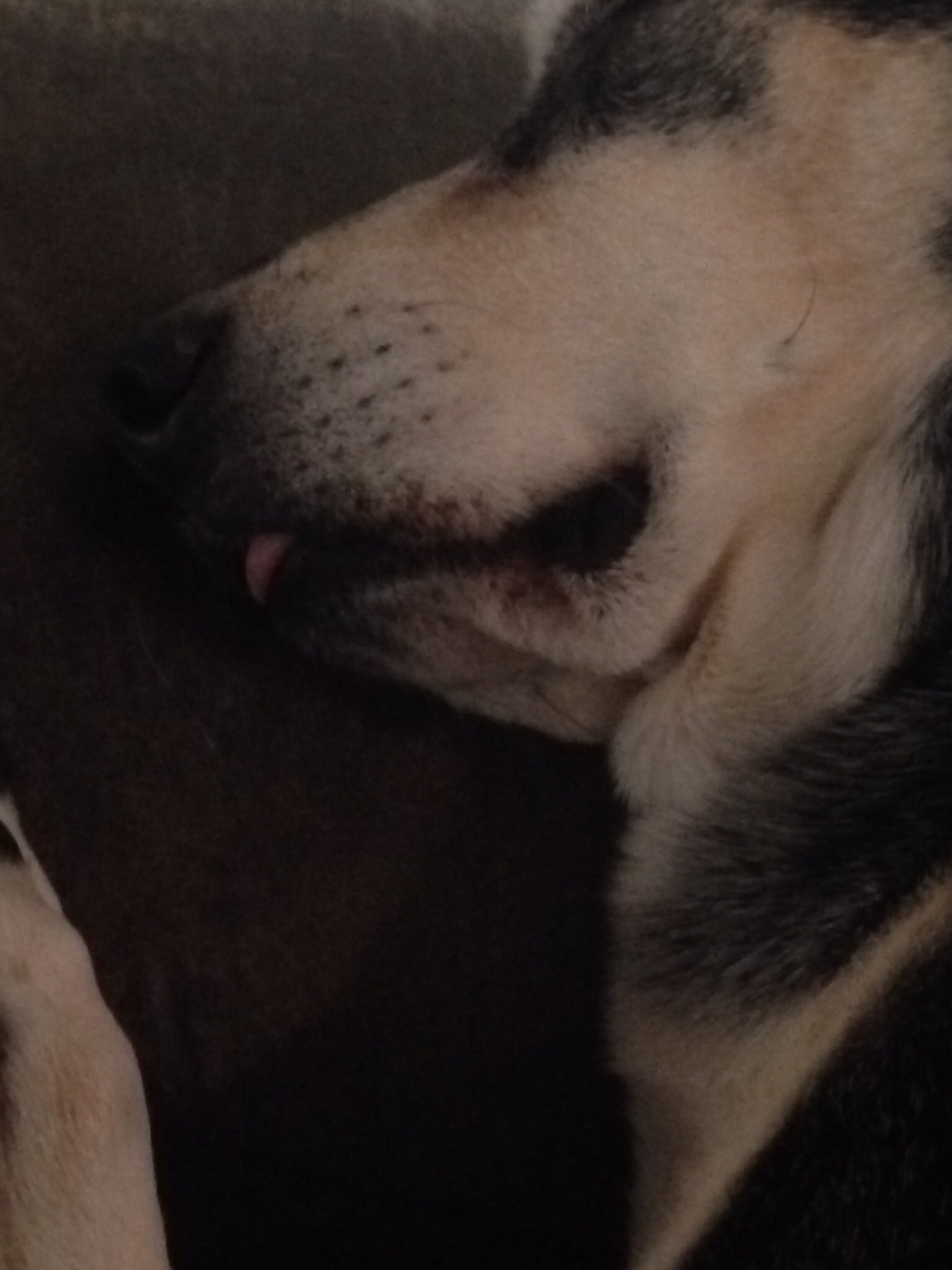 Happy birthday to my April girl   