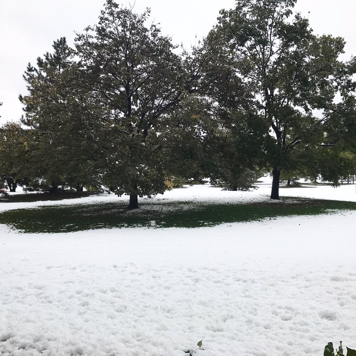 Snow in October?  Gotta love Colorado weather. #snow #colorado
