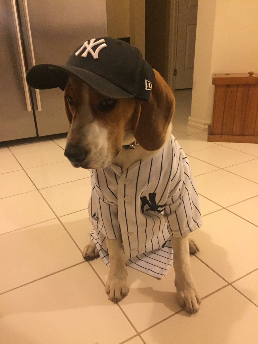 Mathew Merington ⚫️⚪️ tweet media