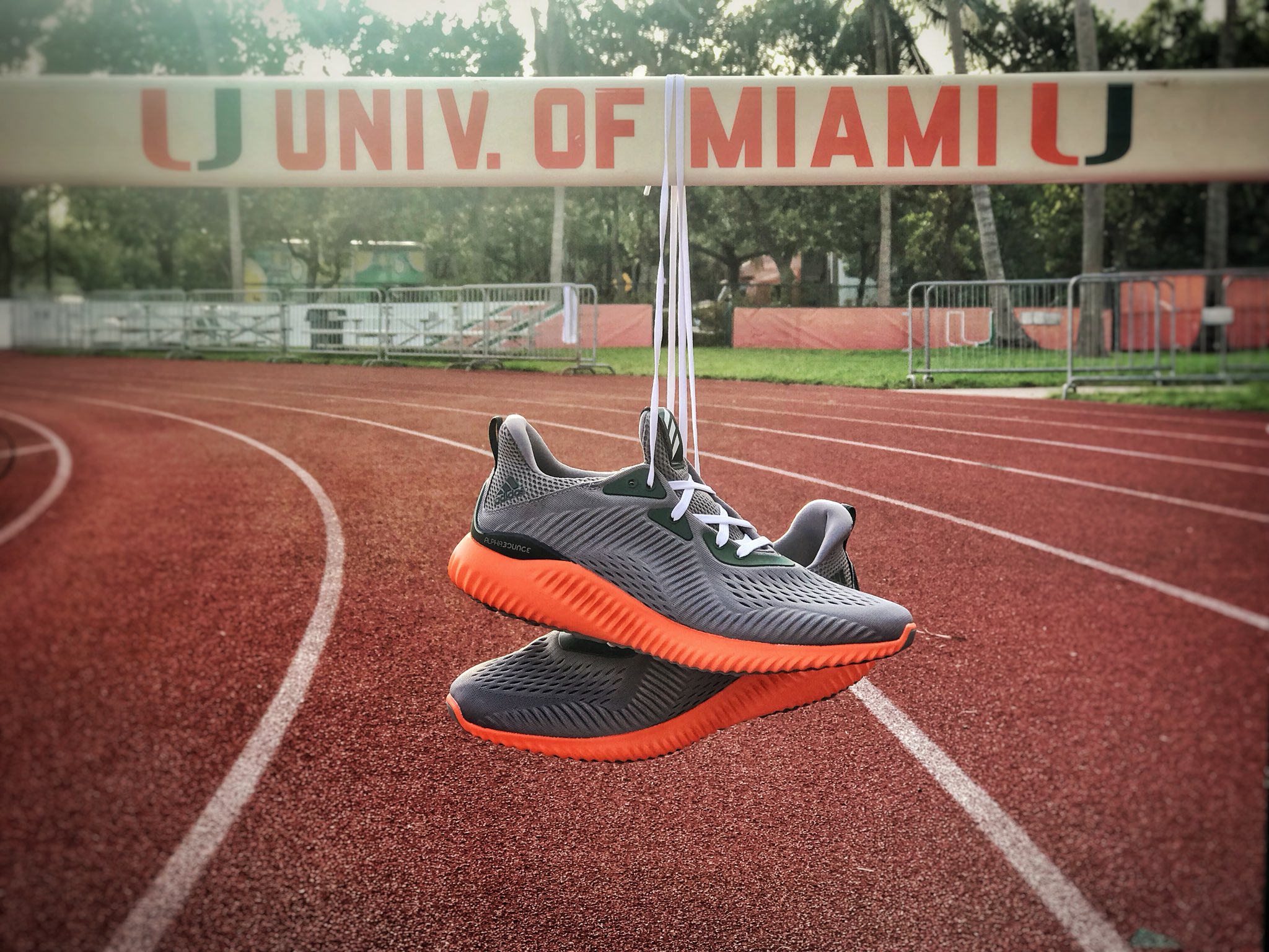 miami hurricanes alphabounce