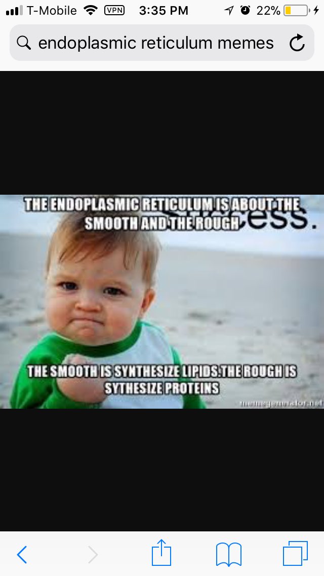 EndoplasmicRe15's tweet photo. @allshookupbybio #organellewarsolu https://t.co/4AVnVqfYk1