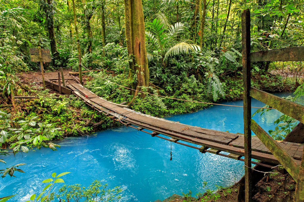 ActivatedLifeX's tweet photo. Have you ever seen a river as enchanting as this? #RioCeleste #CostaRica #AdventureTravel https://t.co/Ru1RE5E0Pi https://t.co/yvufFAonRo