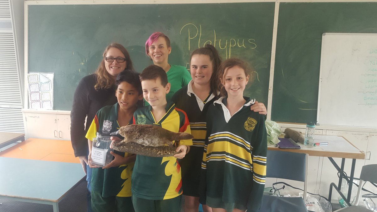 DEECA_Vic's tweet image. We're proud supporters of @KTKaus! Next up, the 2017 Melbourne Water Kids Teaching Conference on October 24/25 kidsteachingkids.com.au