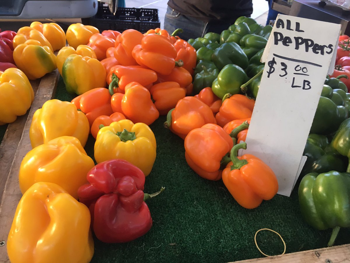 OharaKimiko's tweet image. It's sad that this "organic"bell pepper on left traveled from Holland2Cali.Most likely picked green&amp;amp;off vine before ripe lacking nutrients #notsustainable eat local&amp;amp;in season to avoid this.We found beautiful peppers locally grown at our #farmersmarket this week #heathed #ovhealth