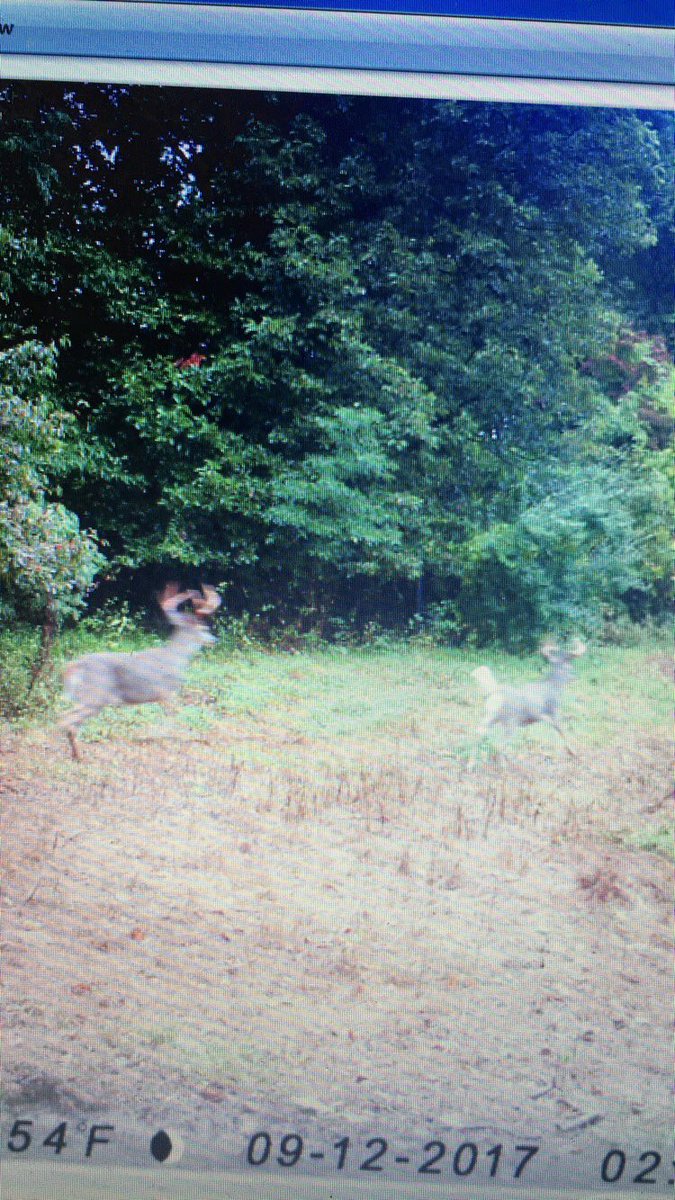 VestOutdoors's tweet photo. And my summer bucks disappear like.... https://t.co/n39wyoAkFY
