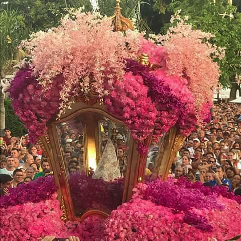 Roseane72056601's tweet photo. @SimoneeSimaria  olha nossa senhora de Nazaré 
#CirioDeBelem https://t.co/WVeAgN53AO