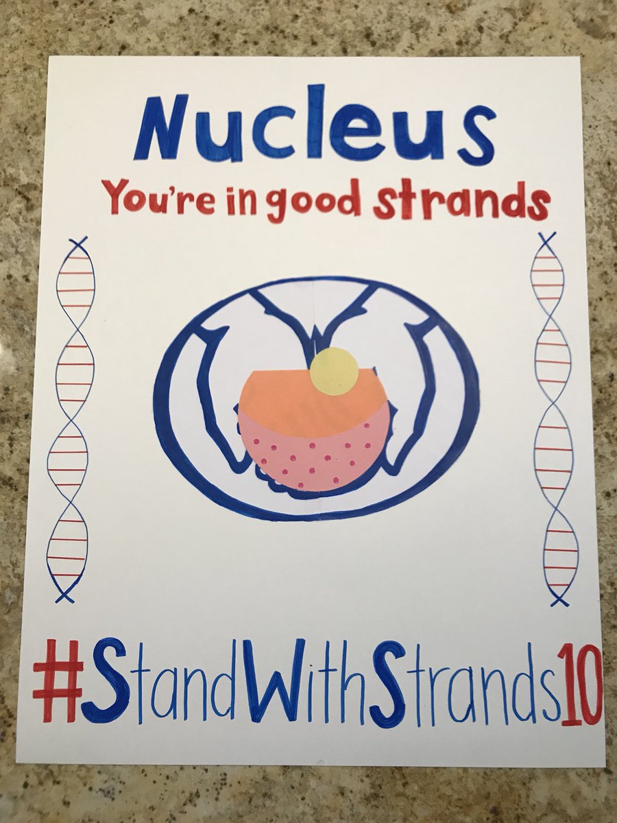 VoteNucleus10's tweet photo. Remember to vote nucleus!! #StandWithStrands10 @CrawfordMHS https://t.co/fnft7lpbGX