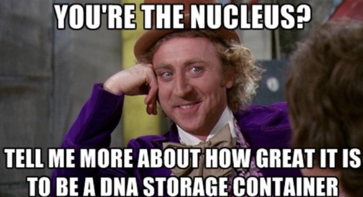 EndoplasmicRe15's tweet photo. #organelleswarsOLu @allshookupbybio https://t.co/hgN1c6eTIB