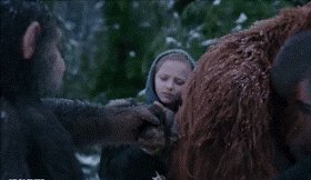 Cute scene🙊👧 #warfortheplanet #apes #movies #apestogetherstrong  #Caesar <a href="/andyserkis/">Andy Serkis</a> <a href="/AmiahMiller/">Amiah Miller</a> ❤