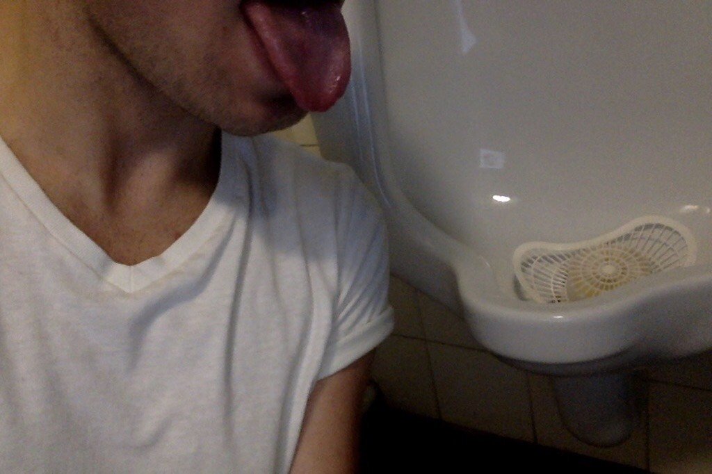 DADDYDOMMX's tweet photo. Mi cachorro en baño público siguiendo mis ordenes. https://t.co/GZqYbkFEWe