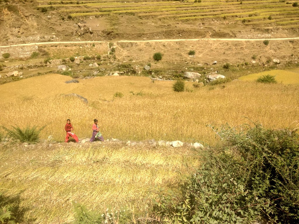 bhawanashakya's tweet photo. On the way to jumla ... Beautiful isn't it ? #nepal #travel #nature #holidays https://t.co/ZFO2Ge7DG9