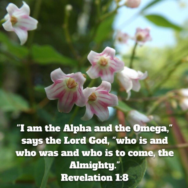 alive_usa's tweet image. “Everything in life begins with and ends with Jesus Christ.” -CBC  Read More: facebook.com/AliveMinistrie… #alphaandomega #Jesus