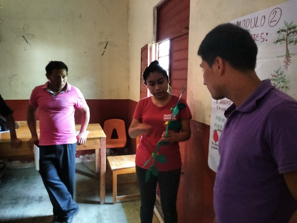 EvaluadorJose's tweet photo. Taller de alineación en el EC 0272 Cosecha de Café en Jolpokitioc, Tila, Chiapas https://t.co/eeEnZedlzU