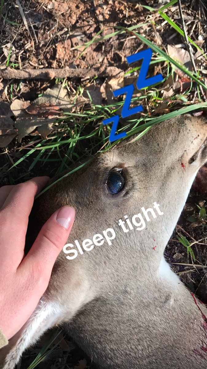 brodypigg's tweet photo. Also shoutout @bj_REDMAN for helping get my first doe #westaystrapped #pinched https://t.co/2PTSy9aEM3
