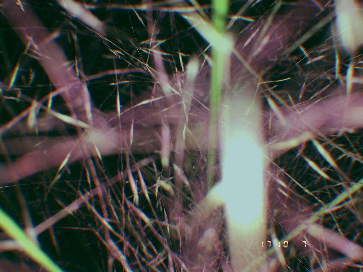 kinsalgaming's tweet image. 💜💜💜