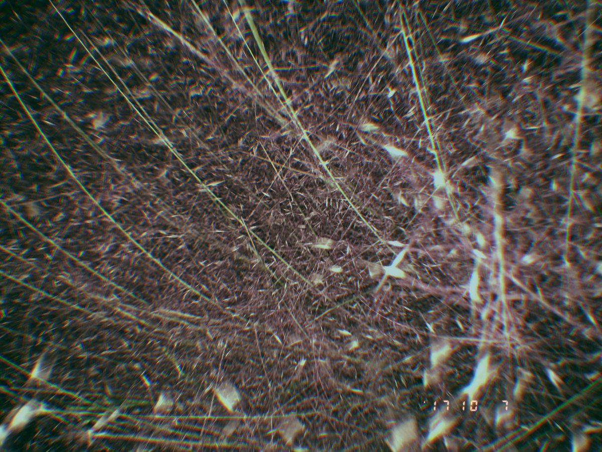 kinsalgaming's tweet image. 💜💜💜