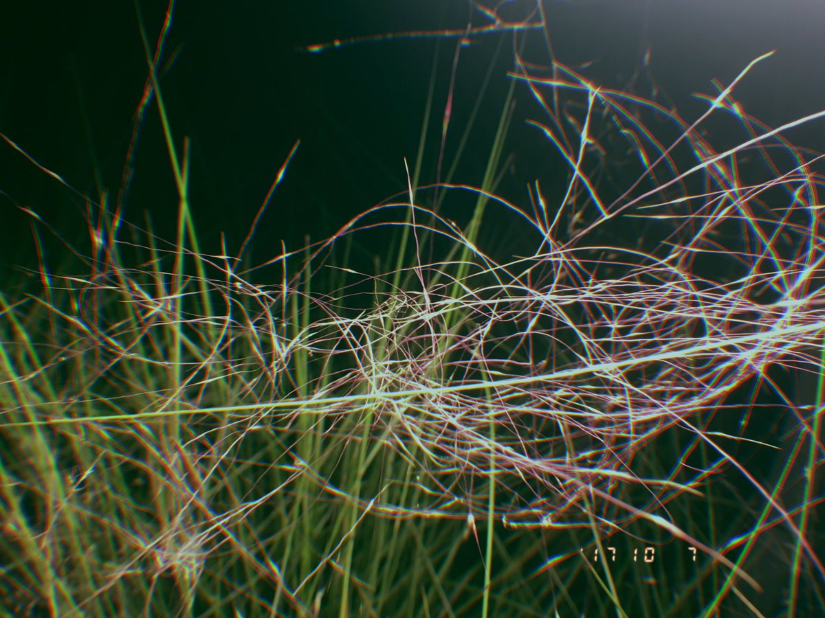 kinsalgaming's tweet image. 💜💜💜