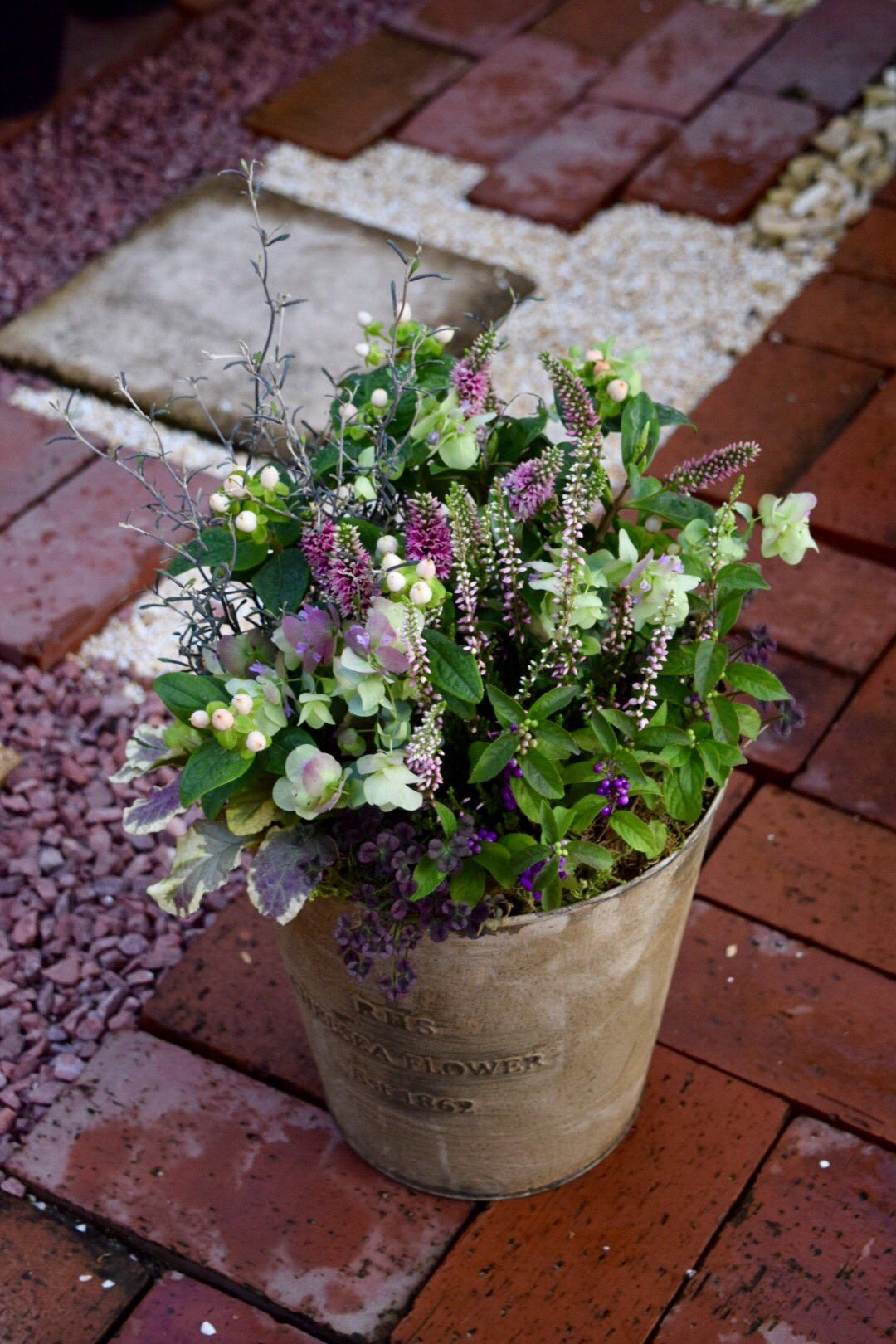 わたなべ花壇 入荷速報 オレガノ ユノを使って ふんわり優しげ寄せ植え 花 わたなべ花壇 ガーデニング 寄せ植え T Co Zv6qpdxzbm Twitter