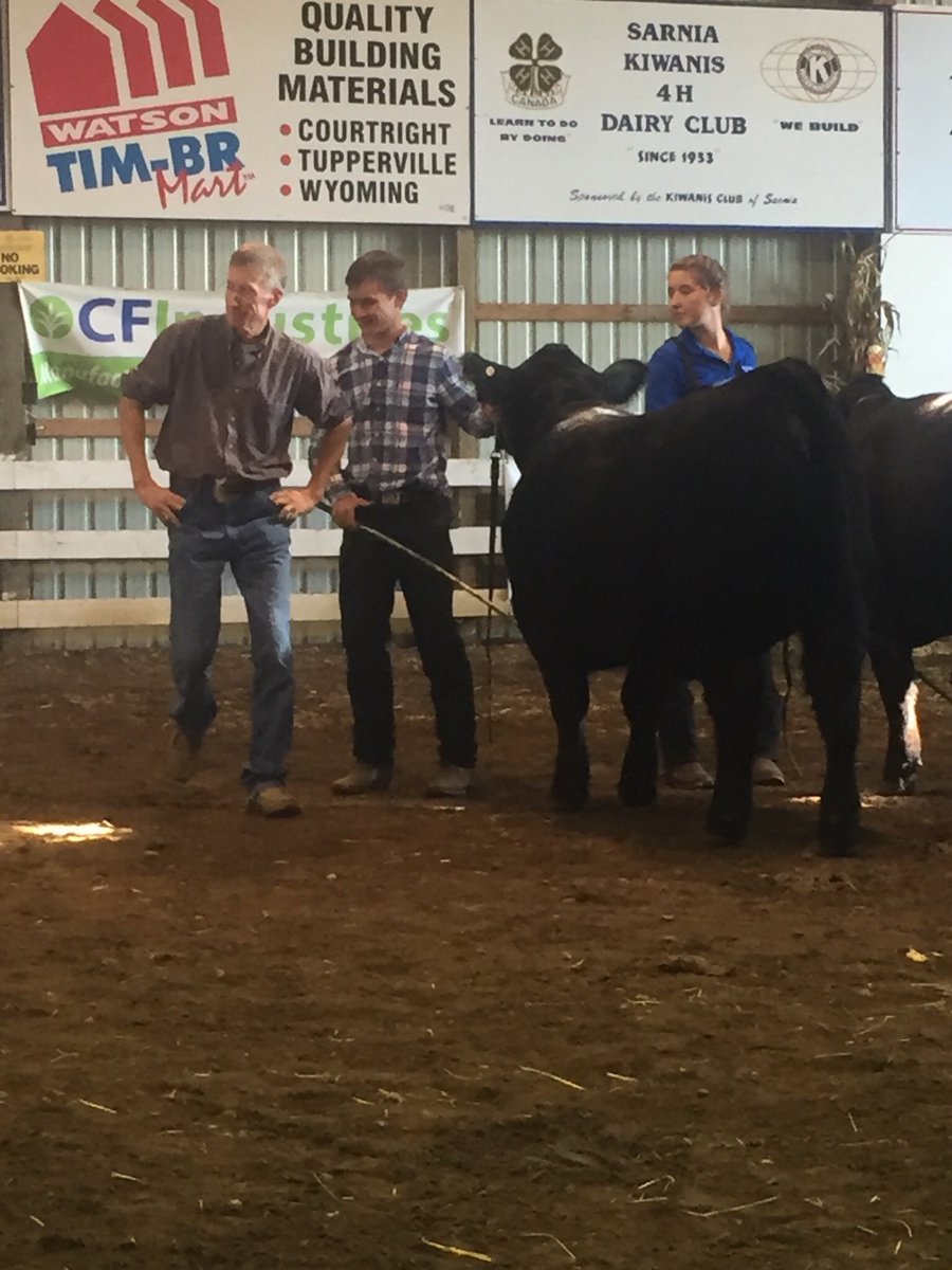 The fourth and final day of the Brigden Fair was spend with the cattle 🐮❤️ 
#brigdenfair2017 #agriculture #livestock 
-J👑