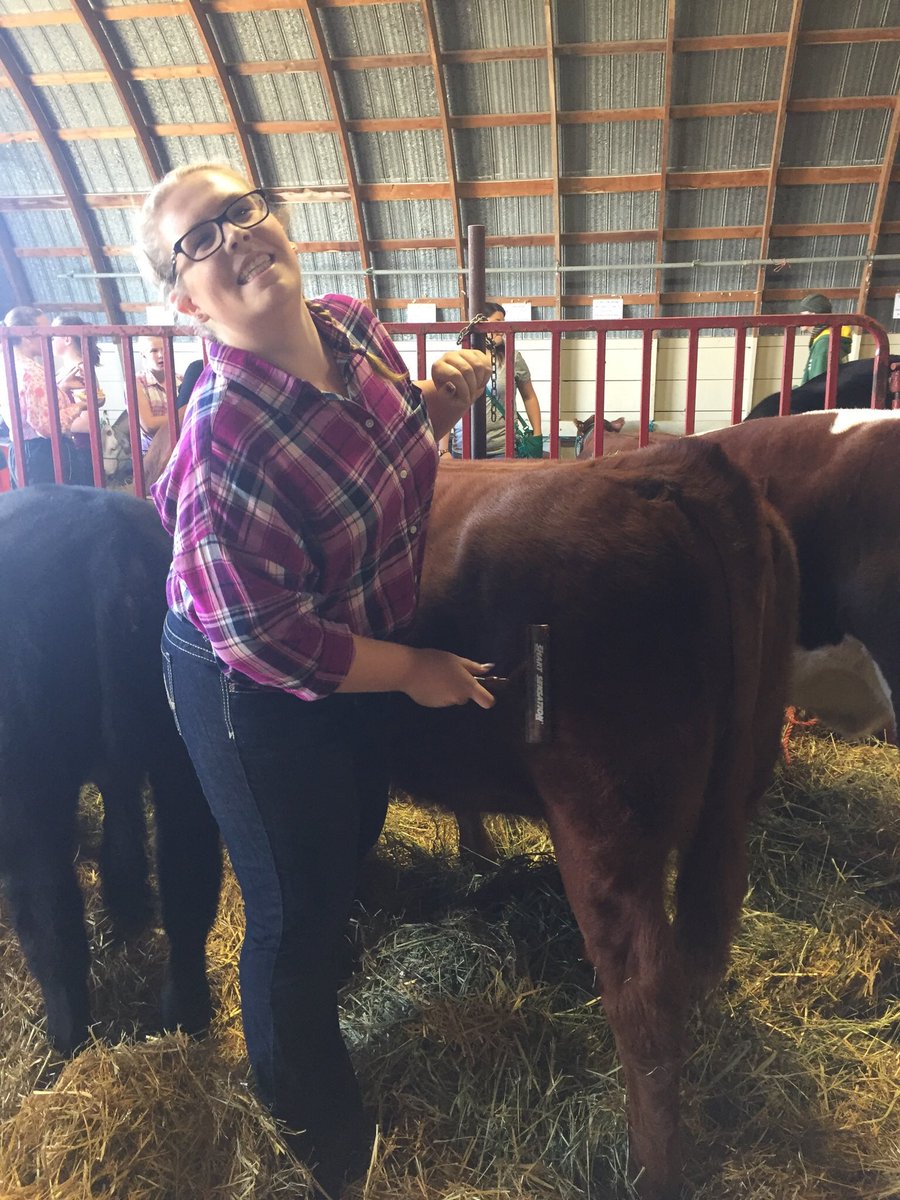 BrigdenAmb's tweet photo. The fourth and final day of the Brigden Fair was spend with the cattle 🐮❤️ 
#brigdenfair2017 #agriculture #livestock 
-J👑 https://t.co/w99xrUZZig