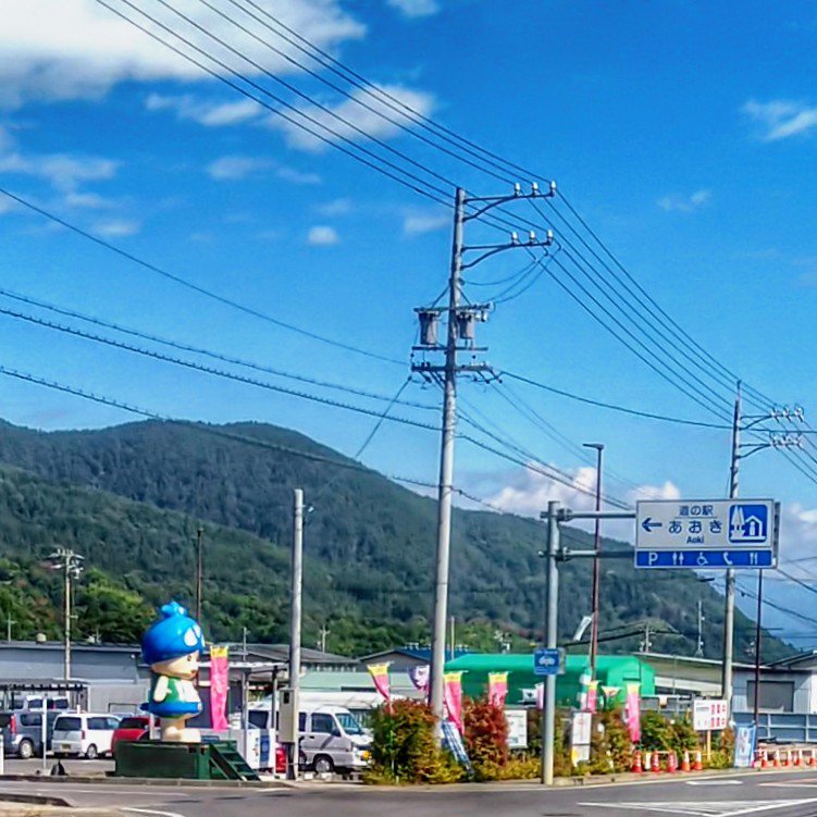 アオキノコちゃん Twitter Search